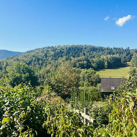 Awesome In * Labaroche